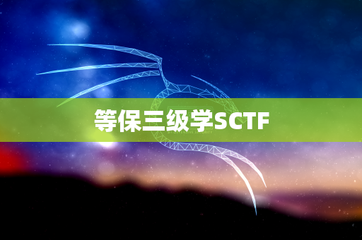 等保三级学SCTF