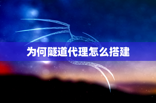 为何隧道代理怎么搭建