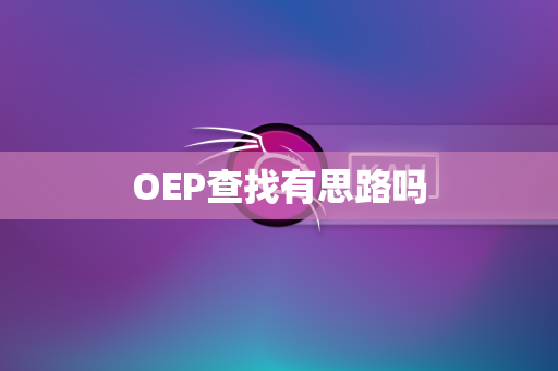 OEP查找有思路吗