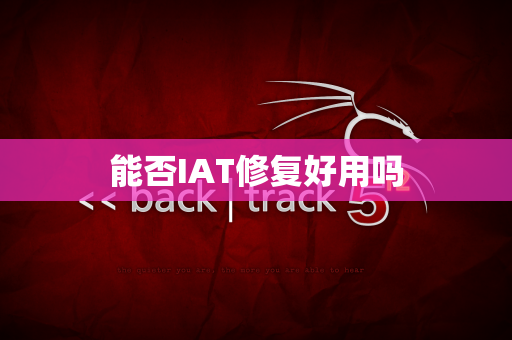 能否IAT修复好用吗