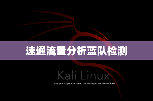速通流量分析蓝队检测