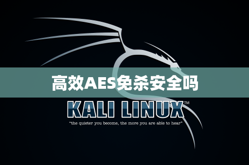 高效AES免杀安全吗