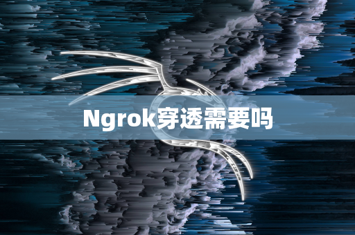 Ngrok穿透需要吗